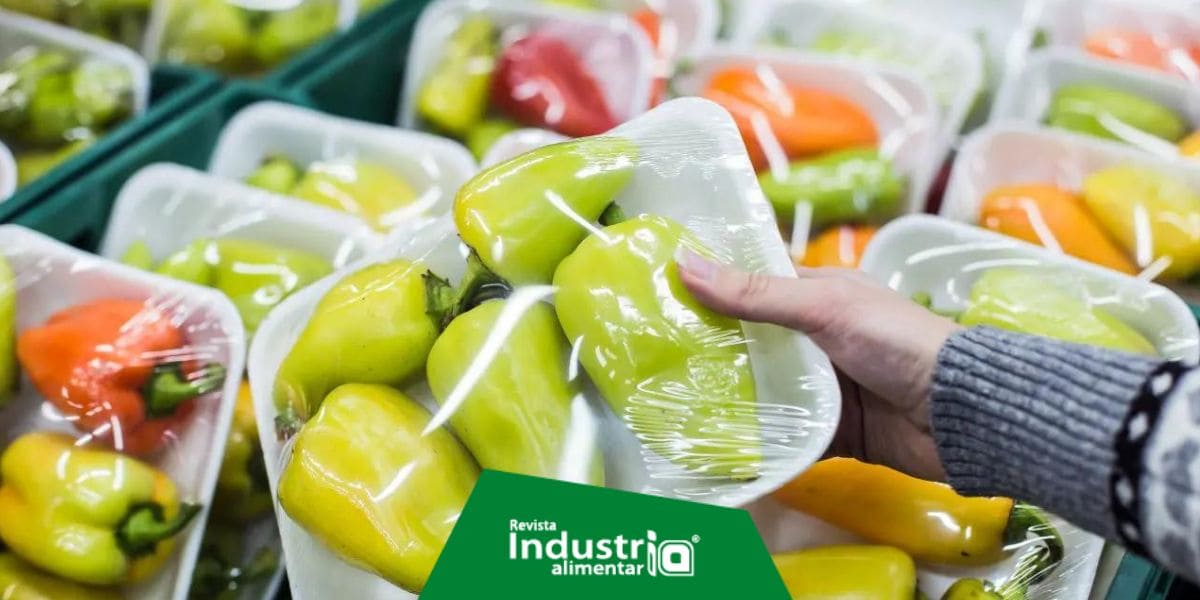 Bandejas para transporte de alimentos sus tipos y utilidades en la industria alimentaria Revista Industria Alimentaria